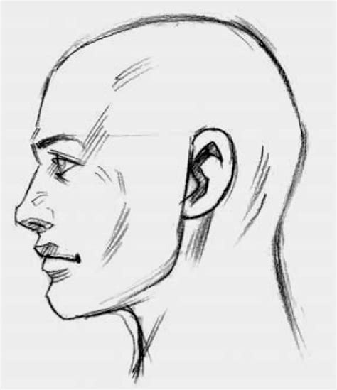How To Draw A Face Sketch Sideways Sketch Drawing Idea