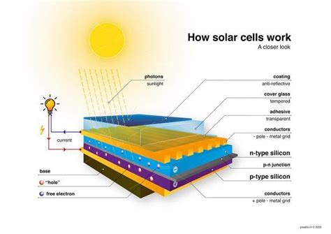 How Photovoltaic Cell Work Photovoltaic Cells Cell Solar Cell