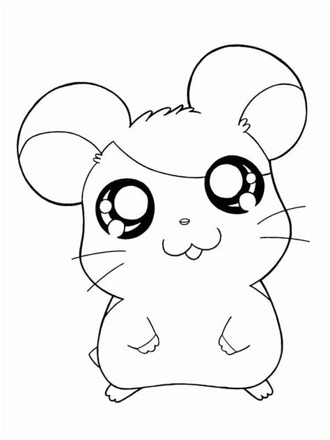 Hamster B Sico Para Colorir Imprimir E Desenhar Colorir Me