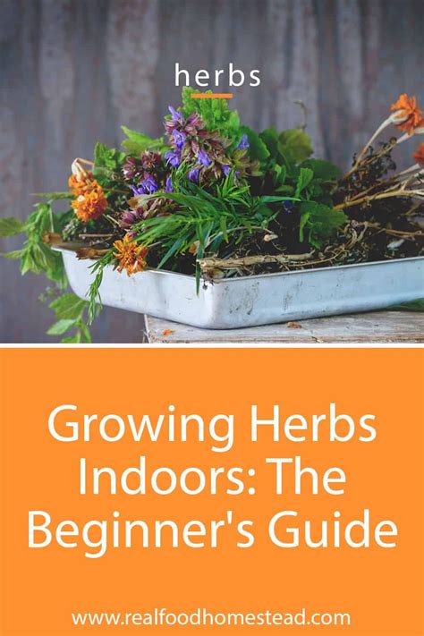 Do You Grow Herbs Indoors In The Winter Click Here For A List Of Herbs