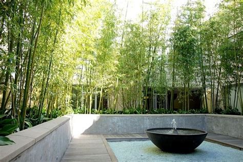 They can make large clumps that are ideal as there are bamboos for nearly every garden and here are some popular choices: 70 bamboo garden design ideas - how to create a picturesque landscape