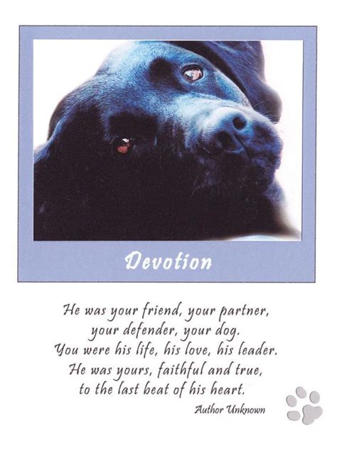 May god keep you in his embrace at this difficult time. Items similar to Sympathy Card for loss of Dog on Etsy