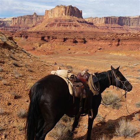 Utah Horseback Riding Vacations And Tours In The Canyonlands Horseback