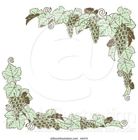 Vector Illustration Of Vintage Green Grape Vine Corner Borders By