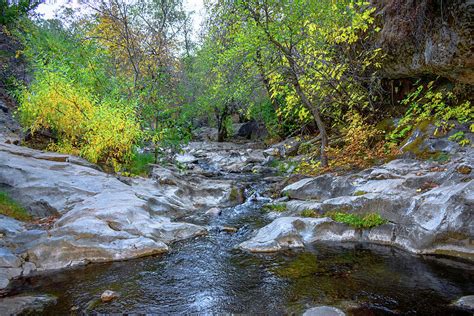 Wonderful Fall Colors In Natural Bridges Vallecito California