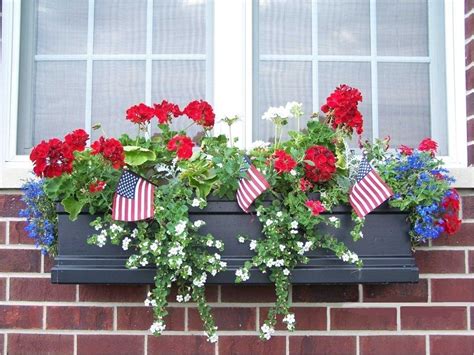 42 Best Flowers For Window Boxes 39 How To Choose The Best Window Boxes