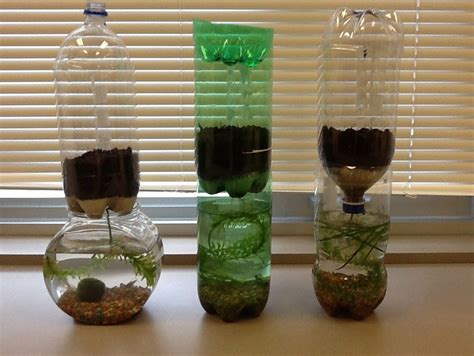 Bottle Ecosystems Making A Mini Biosphere Teaching Resources