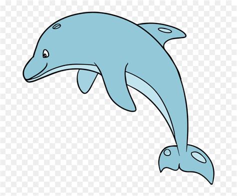 Baby Dolphins Clip Art Library