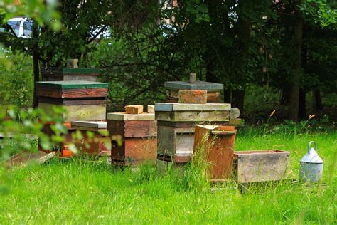 Beehives Free Stock Photo Public Domain Pictures