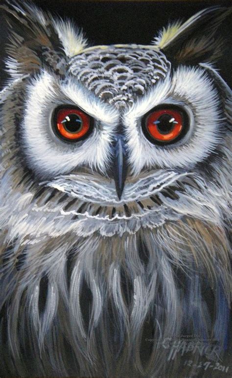 Owl Artwork Owl Photography Owl