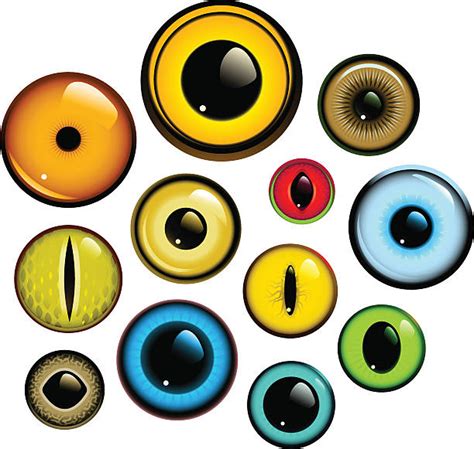 Animal Eye Stock Photos Pictures And Royalty Free Images Istock