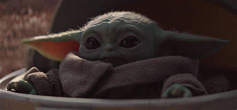 (the star wars canon is deliberately vague about how members of yoda's species operate. Baby Yoda Real Name Teased By Taika Waititi, Kevin Feige ...