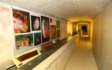 Visit The Sea And Water Museum In Sassari Sardinia