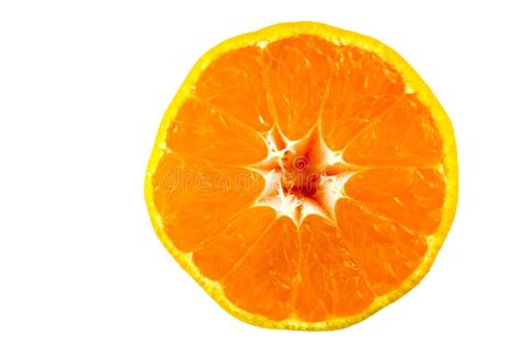 Orange Fruit Half On White Background Stock Image Image Of Citrus