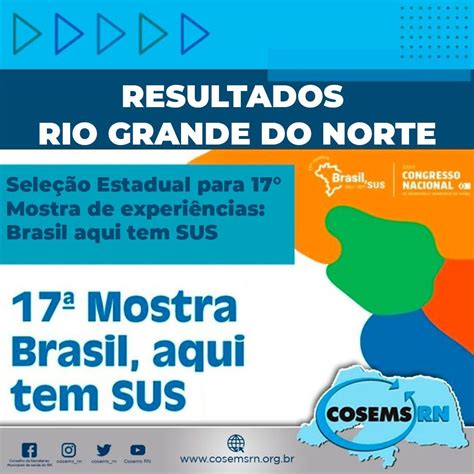 Cosems Rn Divulga Experiências Exitosas Selecionadas Para A 17ª Mostra “brasil Aqui Tem Sus