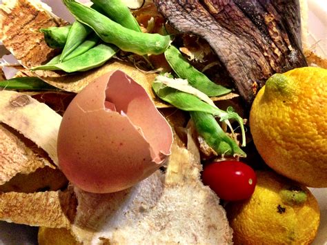 5 Clever And Unique Ways To Reuse Old Food Scraps Off The Grid News