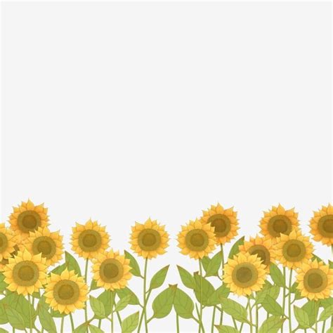 Sunflower Field Hd Transparent Sunflower Flower Field Cartoon Png