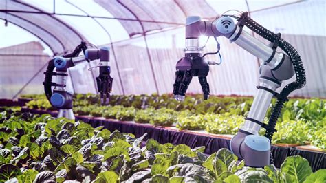 Ai Robots Are Becoming A Growing Presence On Farms Mindy Support