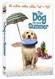 A Lucky Ladybug: The Dog Who Saved Summer DVD Review and #Giveaway