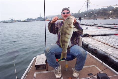 San Diego Bay Sand Bass Move In Western Outdoor News
