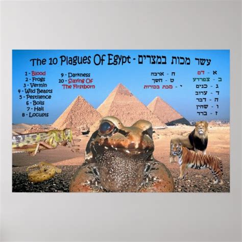 The 10 Plagues Of Egypt English And Hebrew Poster Zazzle