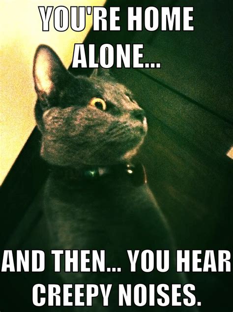 Scary Noises Cat Meme By Lazybirdie On Deviantart