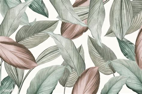 Download Premium Illustration Of Green Tropical Leaves