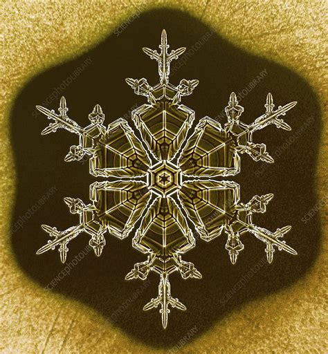 Stellar Dendrite Snowflake Light Micrograph Stock Image C0480139