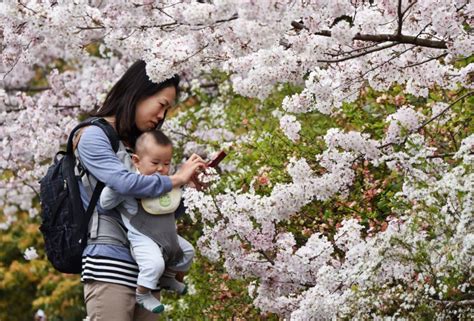 Japan Birth Rate Hits Record Low