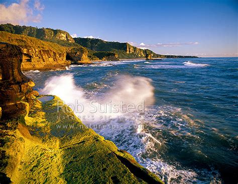 Beautiful Punakaiki Paparoa Coastline With Algae Covered Wave