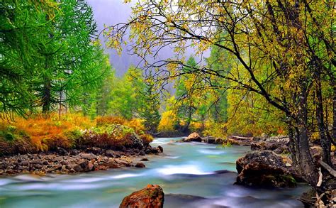 Beautiful Nature Stream Pretty Shore Flow Bonito Mountain Leaves