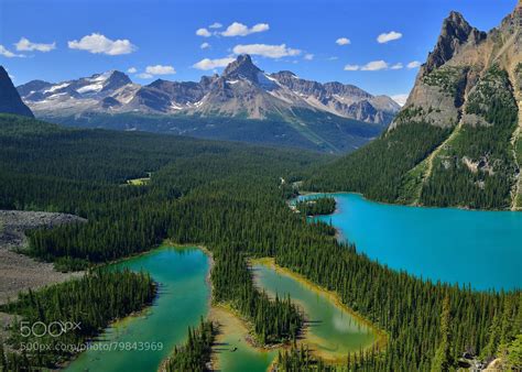 Lake Ohara Yoho National Park Canada Photo By Shuchun Du