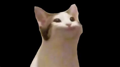 Pop Cat Meme Wallpaper Engine