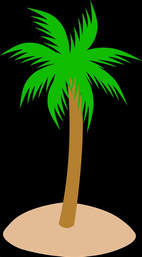 Download A Palm Tree With Green Leaves [100 Free] Fastpng