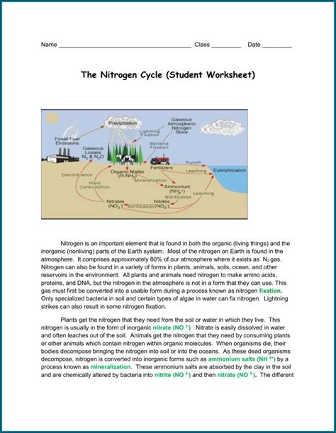 When trekking through the wilderness, an important skill is the ability to interpret a topographic map. Study Jams Nitrogen Cycle Worksheet Answer Key Worksheet ...