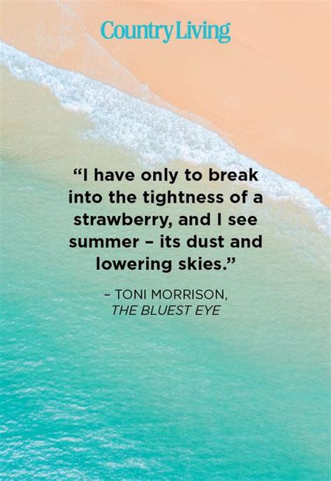 48 Best Summer Quotes Inspirational Warm Weather Sayings