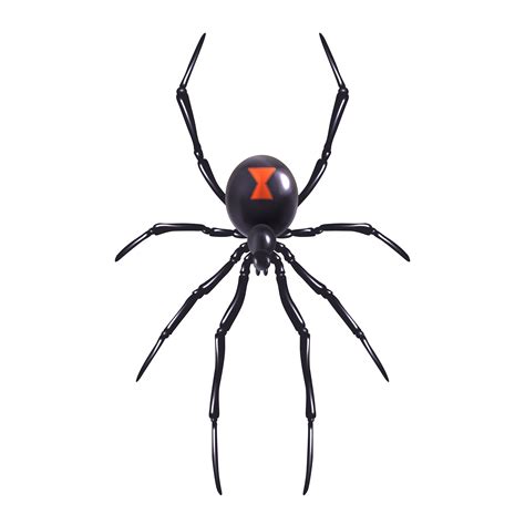 Black Widow Spider Clip Art Free Vector In Open Offic