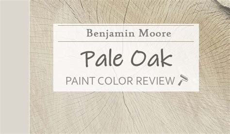 Benjamin Moore Pale Oak Oc 20 The Most Balanced And Muted Greige