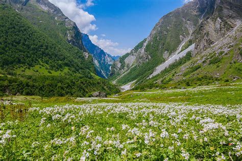 10 Flower Valleys In India And Around The World Thatll Make You Believe