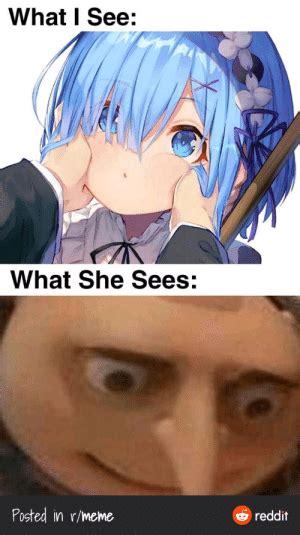 What I See What She Sees Posted In Rmeme Reddit Haido Funny Meme On Me Me