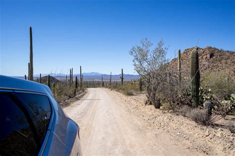 Saguaro National Park Ou Les Cactus Darizona Moi Mes Souliers