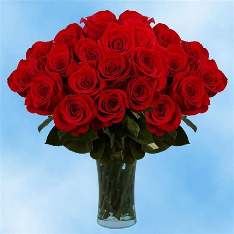 Globalrose Fresh Valentines Day Red Roses 75 Extra Long Stems 75 Red