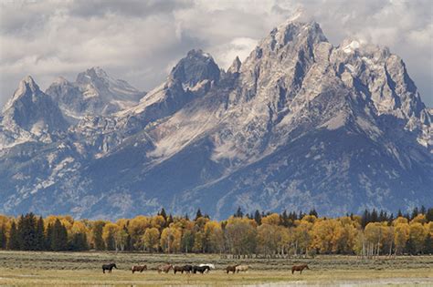 Six Quick Facts About Grand Teton National Park