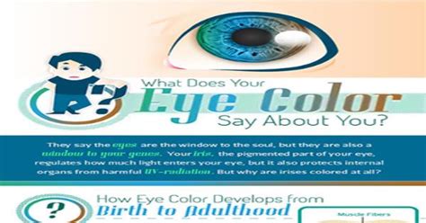 What Does Your Eye Color Say About You Infographic Infographics