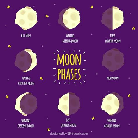 Free Vector Phases Of The Moon Set