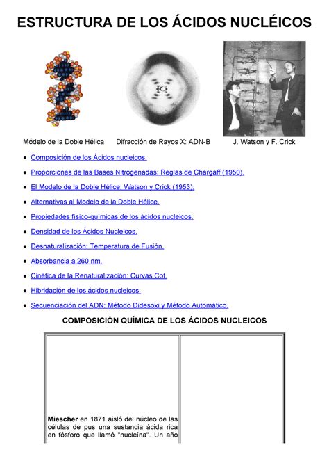 02 Estructura De Los ácidos Nucléicos Biología Estructura De Los