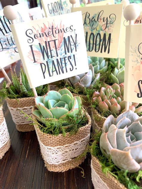 25 Baby Shower Favors Succulents With Personalized Funny Pun Etsy