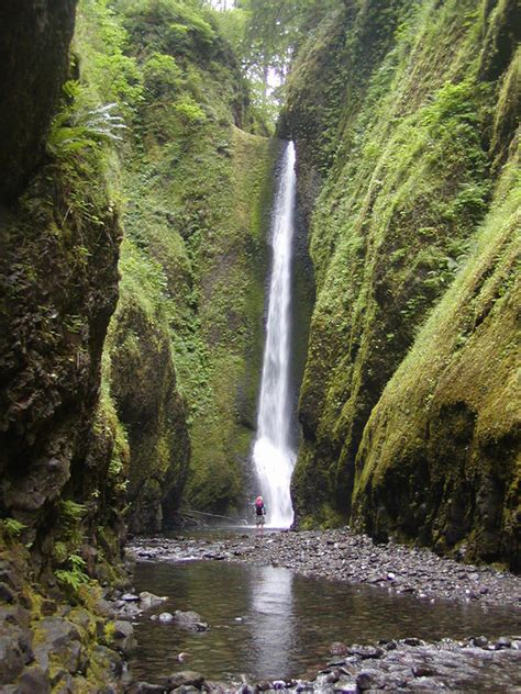Oneonta Falls Hiking In Portland Oregon And Washington