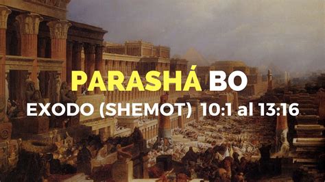 Parashá Bo No 15 Universidad Teologica Shema Israel