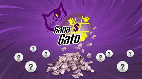 Lotería Nacional Dónde Ver El Gana Gato En Vivo Y La Lista De Ganadores Infobae